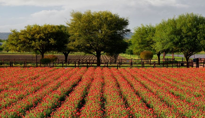 Top 10 Unique Small Towns To Visit In The Southern U.S. This Fall